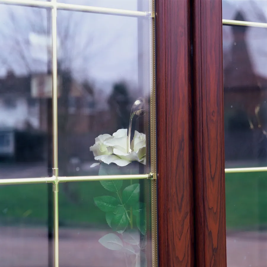 Triple Glazing Forest Gate