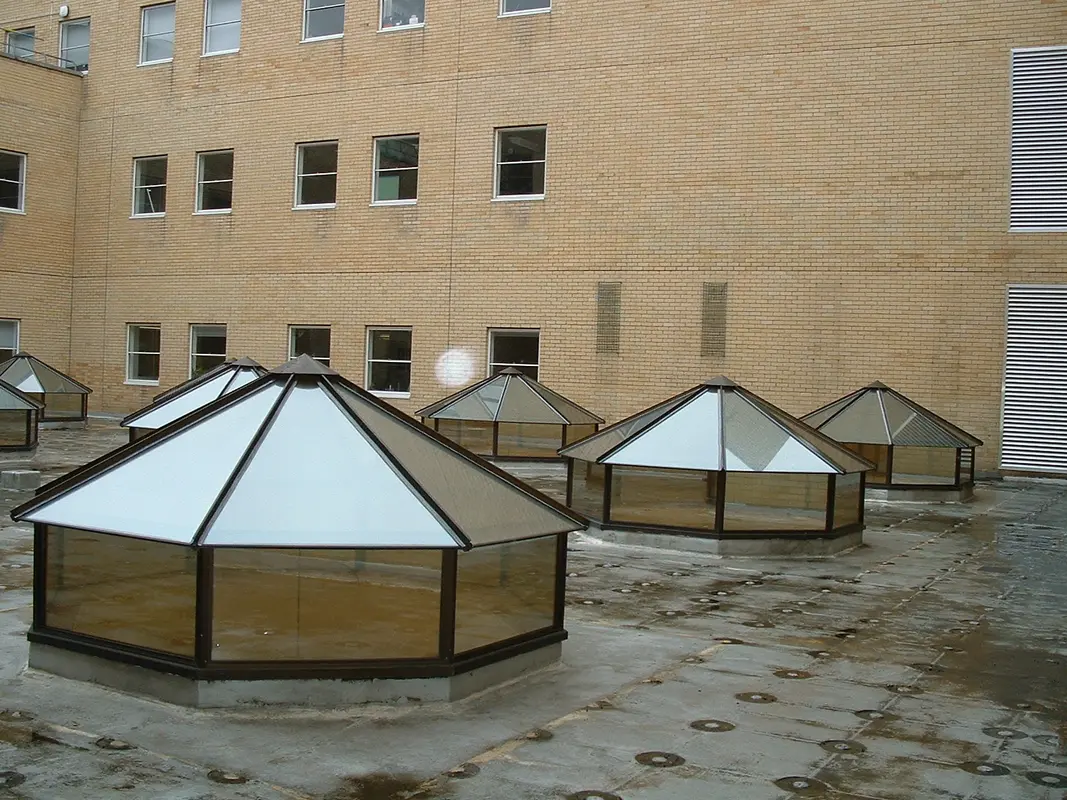 Flat Roof Skylights Forest Gate