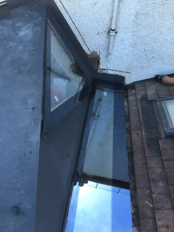 Skylights Forest Gate